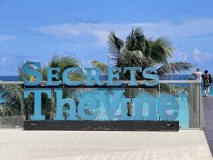Secrets The Vine review
