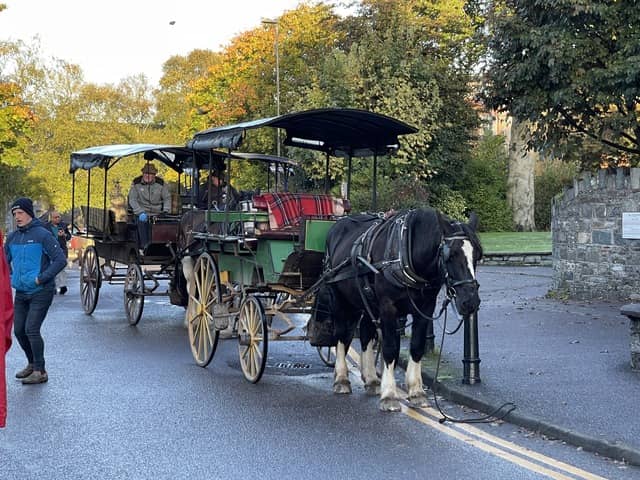 Jaunty car ride - Ireland - JJ Travel Associates - Best Travel Agents in NJ Jaunty car ride with Lucy, the horse